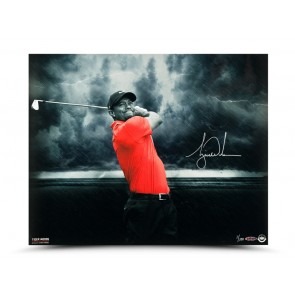 Tiger Woods Autographed “Quiet Storm” 16 X 20